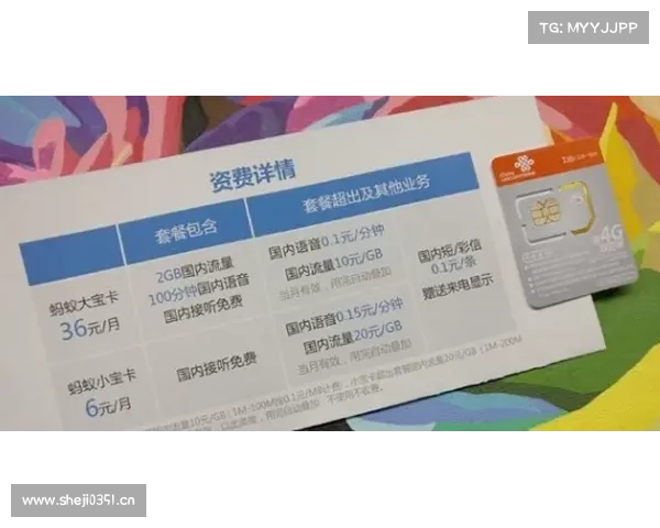 上海交通卡联合宝可梦推精灵球造型交通卡 超还原! 上海交通卡联合宝可梦推精灵球造型交通卡 超还原!